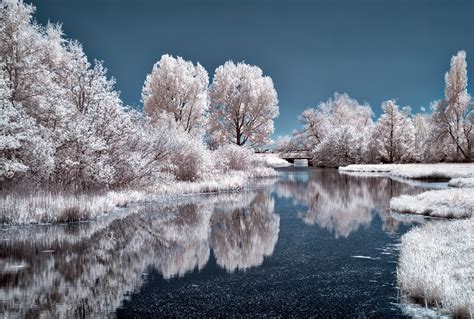 Ice Lake Frozen Trees 4k Hd Nature 4k Wallpapers Images
