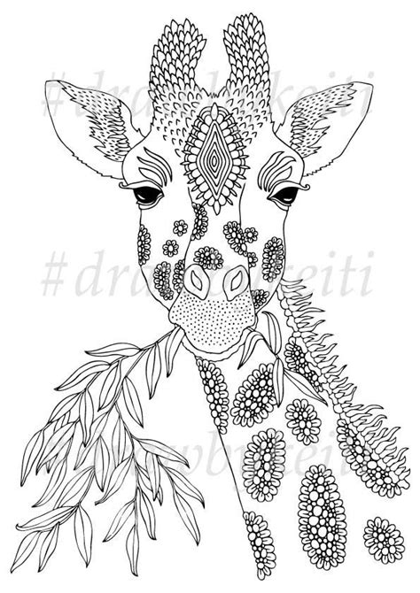 Giraffe Vector Illustration For Coloring Page By Keiti Drawbykeiti