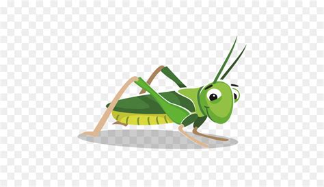 Cricket Bug Clipart 20 Free Cliparts Download Images On Clipground 2024