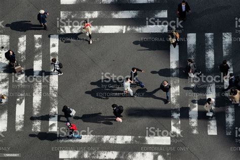 Zebra Crossing At Ginza Tokyo Japan Stock Photo Download Image Now