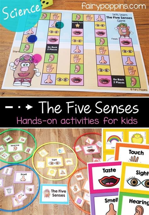 Five Senses Activities For Kids Senses Preschool Senses Activities