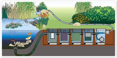 Whatever size of pond you may a filtration system will be your initial step to sanitize your pond. pond waterfall system - Google-haku | Ponds backyard, Pond ...