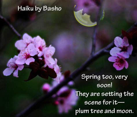 * * * revised on 4/13/13. Haiku by Basho: "Spring too, very soon! They are setting ...
