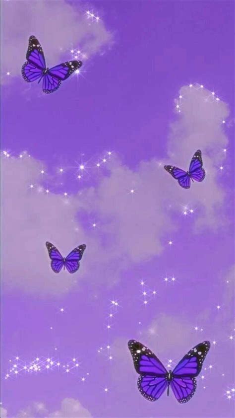 Purple Butterfly Wallpaper Ixpap