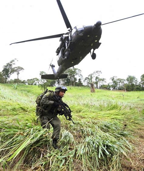 Comandos Jungla Policía Nacional De Colombia Pnc Ejército De