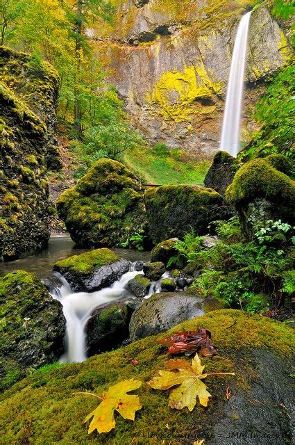 Stunning Elowah Falls Columbia River Gorge Oregon Usa Beautiful
