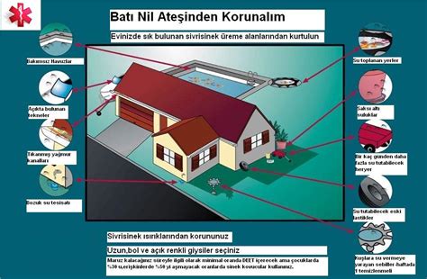 Batı nil virüsü, birleşik devletlere varır varmaz, kuşların ve sivrisineklerin doğal tarihi tarafından oluşturulmuş düzenli bir döngü içine yerleşti. Riva Aile Sağlığı Merkezi: Ağustos 2010