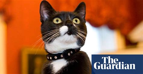 Cat Inet Reshuffles The Long History Of Felines In Politics Cats