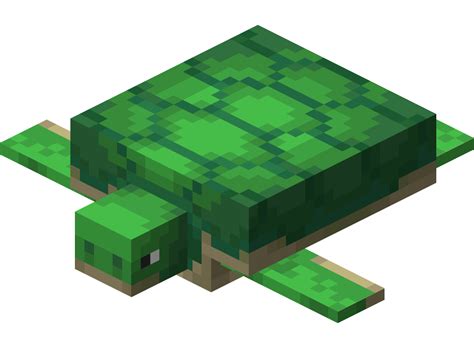 When making a turtle shell, it is important that the scutes are placed in the exact pattern as the image below. Turtle - Official Minecraft Wiki