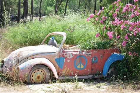 Blumenauto bietet zahlreiche verschiedene wandmotive, die sich schnell und einfach an der wand fixieren lassen. Türkei-Rundreisen - Türkei-Reisen -Türkei Rundreise - 14 ...
