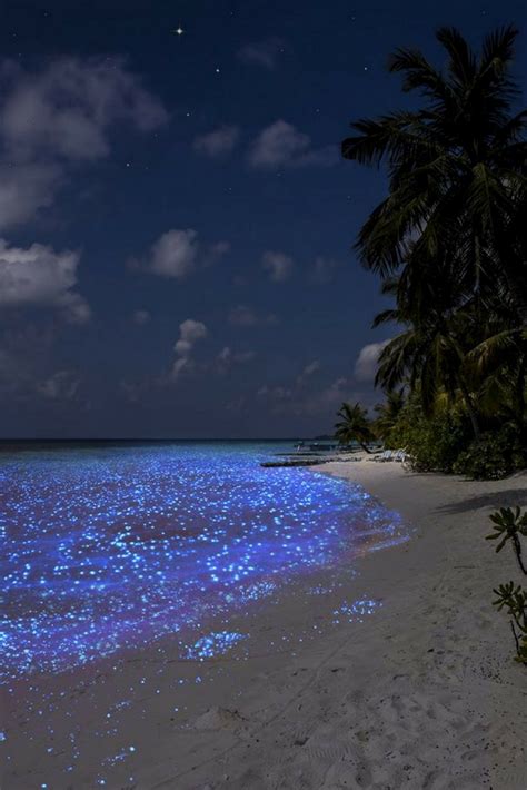 Sea Of Stars Maldives Sea Of Stars Maldives Sea Of Stars Beautiful