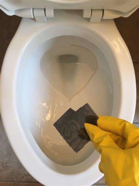 How To Remove Hard Water Stains From Toilets Page Easyrecipes