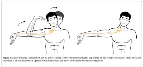 Median Nerve Glide Exercises Flossing