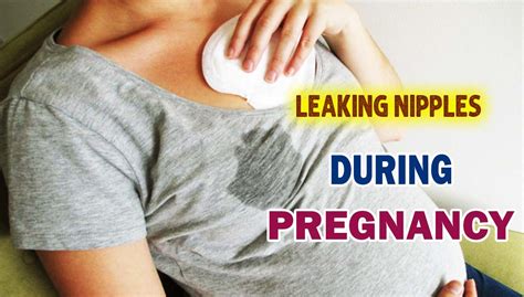 heads up on leaking nipples during pregnancy women s frame