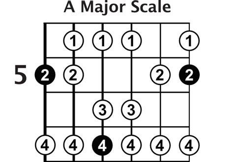 Top 5 Most Important Guitar Scales Articles