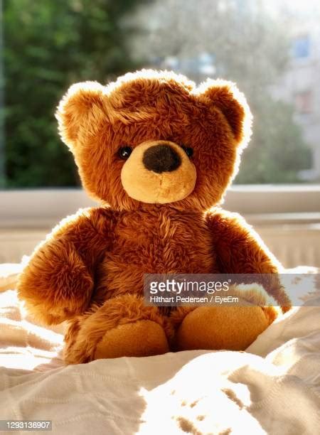 Teddy Bear Bed Photos And Premium High Res Pictures Getty Images