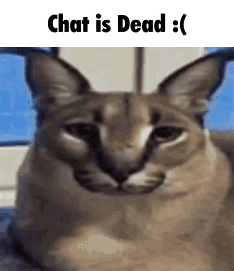 Dead Chat  Dead Chat Discover And Share S