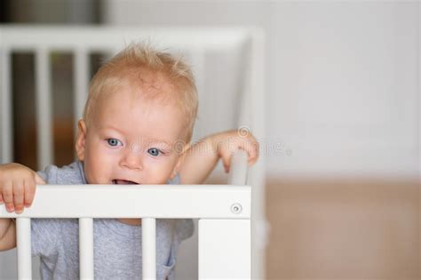 Baby Boy Standing In Crib Stock Image Image Of Little 84115485
