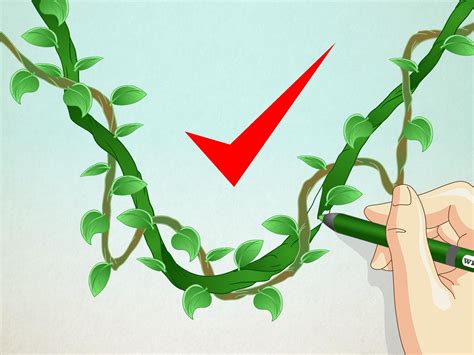 How To Draw A Jungle Vine 7 Steps With Pictures Wikihow Vine