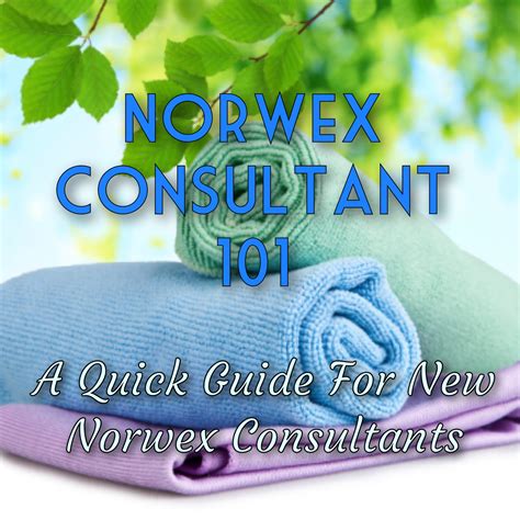 are you a new norwex consultant succeed and shine