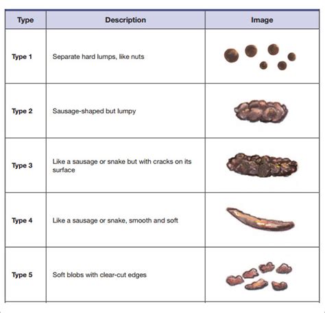 Feces Color Chart Pictures To Pin On Pinterest Pinsdaddy Effy Moom Free Coloring Picture wallpaper give a chance to color on the wall without getting in trouble! Fill the walls of your home or office with stress-relieving [effymoom.blogspot.com]