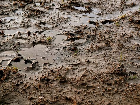 100 Mud Backgrounds