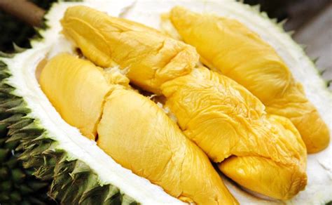 Durian dengan bibit asal malaysia ini dikenal sebagai durian terbaik di tetty mengaku, ia telah menjual durian musang king sejak 2012. La saison du Durian c'est maintenant ! - Cool Asia Travel