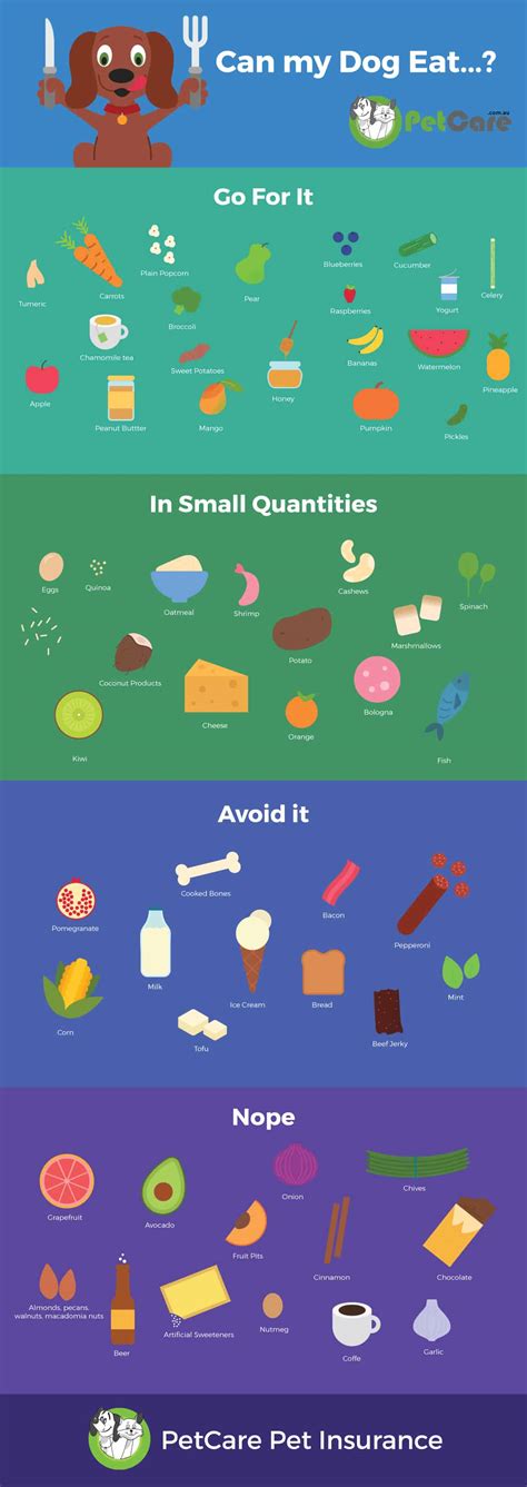 My puppy doesn't eat dog food well she only eats dry dog food like goodos she has grilled chicken ,steak, fish and only gets cheese every now and then. Definitive Guide to Foods Dogs Can Eat (and Can't)