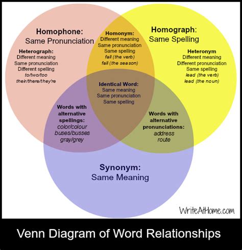 Englishinfavour Homonyms Homophones And Homographs