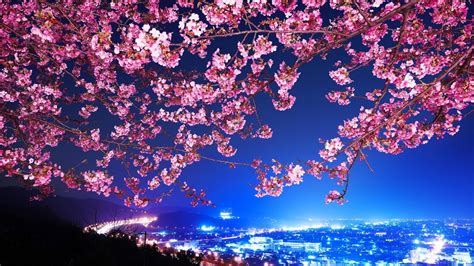 Find and download japan wallpaper on hipwallpaper. Cute Japanese Wallpaper (74+ pictures)