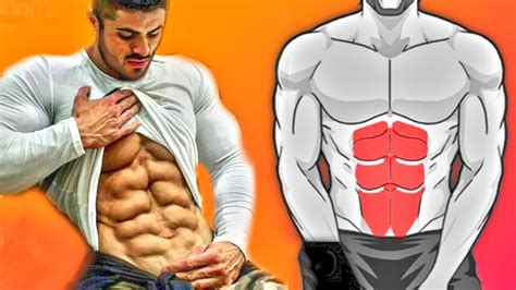 Guided Best Abs Exercises For 8 Pack Youtube