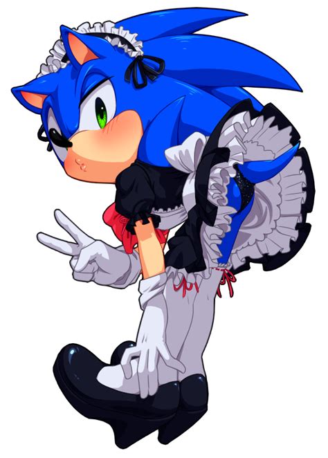 Maid Sonic~ I Regret Nothing Amy Rose Sonic Silver And