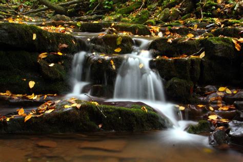Autumn Waterfalls Leaves Forest Foliage Autumn Fall