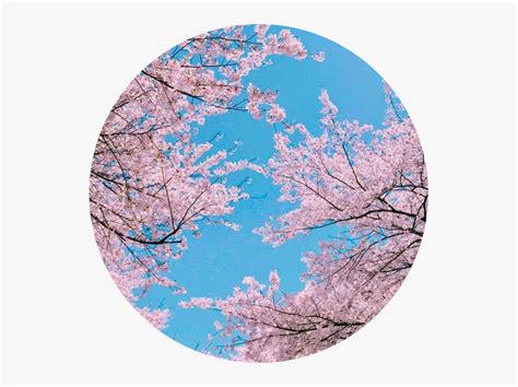 Aesthetic Japanese Aesthetic Profile Pictures