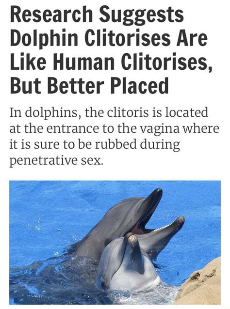 Research Suggests Dolphin Clitorises Are Like Human Clitorises But