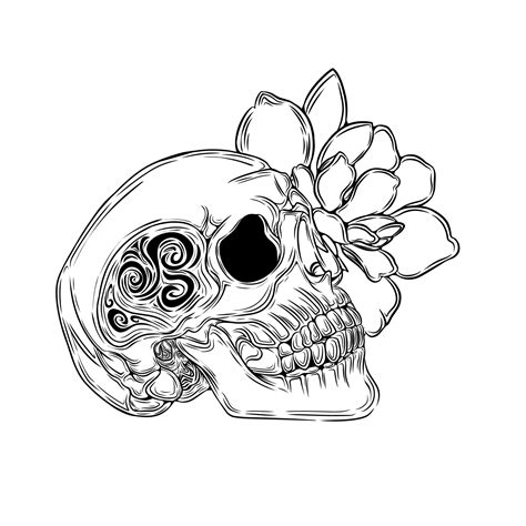 Skull Flower Tattoo Vector Illustration 8347843 Vector Art At Vecteezy
