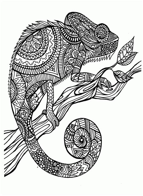 Detailed Animal Coloring Pages For Adults Coloring Home