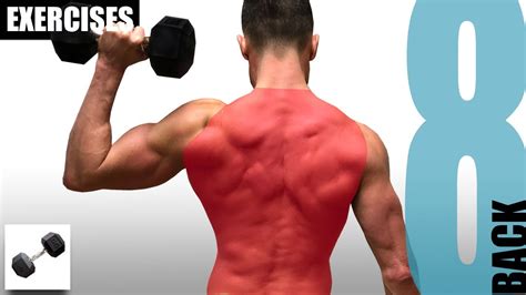 BACK EXERCISES YOU CAN DO WITH JUST ONE DUMBBELL YouTube