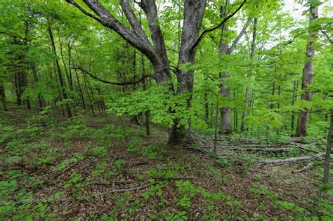 5655 Us Highway 421 N, Lot#WP001, Frankfort, KY 40601 | LandWatch