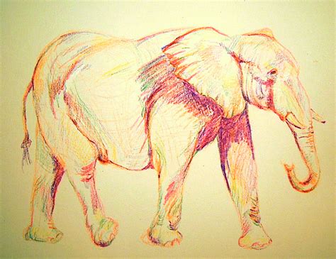 An Elephant A Day Elephant No 280 Crayon Drawing