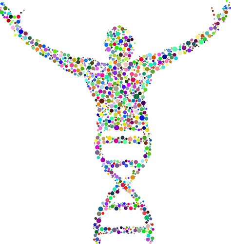 dna deoxyribonucleic 산 사람들 pixabay의 무료 벡터 그래픽 pixabay