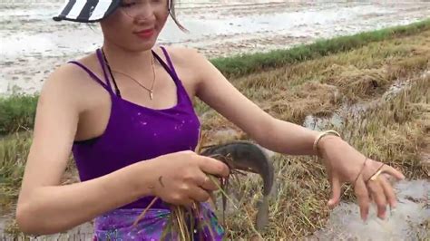 Mantap Gadis Desa Tangkap Ikan Di Sawah 3 Youtube