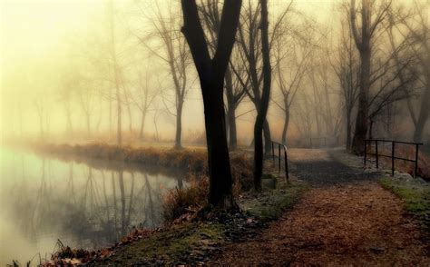 A Foggy Autumn Morning In Hungary Smithsonian Photo Contest