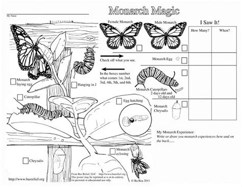 They are free for anyone to use for. Monarch Magic Coloring Page | Monarch butterfly, Monarch ...