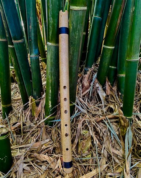 End Blown Flute Quenacho Bamboo Body V Shaped Flutes Erik The Flutemaker
