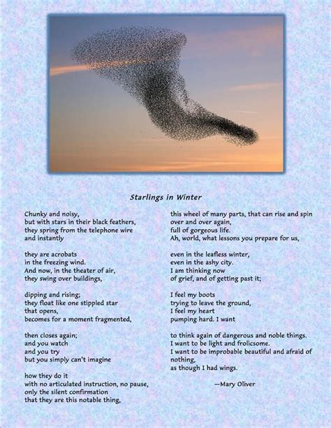 The End Of Summer Poem By Roger Mcgough Donnette Puente
