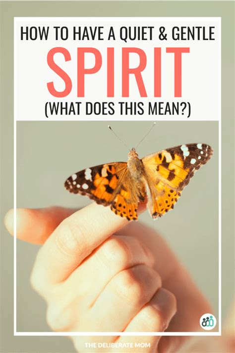 What It Means To Have A Gentle And Quiet Spirit