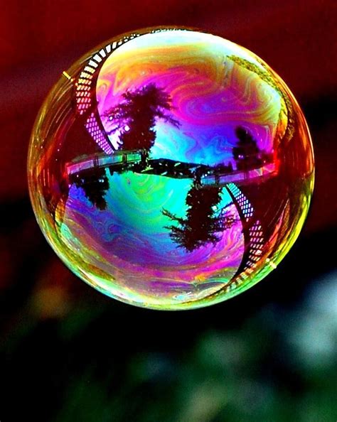 Reflection On A Bubble By Don Mann Bubbles Photography Reflection