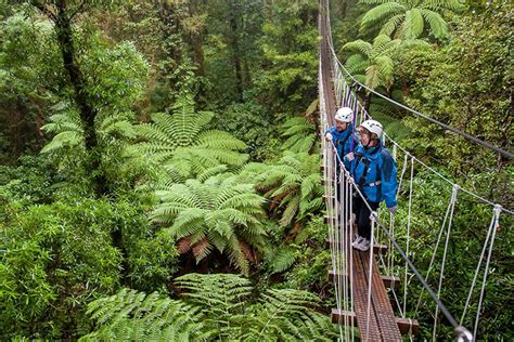Our most thrilling zipline adventure, just 75 miles from los angeles. Rotorua Zipline Canopy Adventure Eco ForestTours 2019