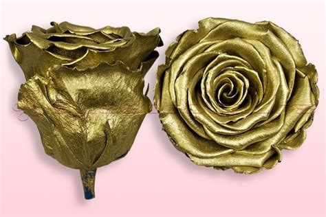 Preserved Roses Metallic Gold